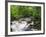 Ingleton Waterfalls, River Twiss, Ingleton, Yorkshire Dales, Yorkshire, England, UK, Europe-Chris Hepburn-Framed Photographic Print