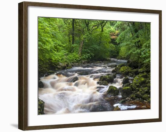 Ingleton Waterfalls, River Twiss, Ingleton, Yorkshire Dales, Yorkshire, England, UK, Europe-Chris Hepburn-Framed Photographic Print