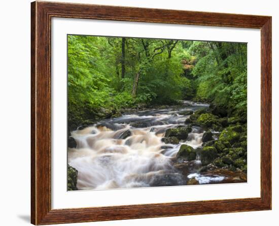 Ingleton Waterfalls, River Twiss, Ingleton, Yorkshire Dales, Yorkshire, England, UK, Europe-Chris Hepburn-Framed Photographic Print