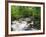 Ingleton Waterfalls, River Twiss, Ingleton, Yorkshire Dales, Yorkshire, England, UK, Europe-Chris Hepburn-Framed Photographic Print