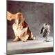 Premium Photographic Print
