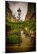 Photographic Print
