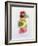 Ingredients and Spices in a Dish-Peter Medilek-Framed Photographic Print