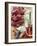 Ingredients for Beef Goulash-Susie M^ Eising-Framed Photographic Print