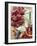 Ingredients for Beef Goulash-Susie M^ Eising-Framed Photographic Print