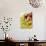 Ingredients for Italian Pasta Dish-null-Photographic Print displayed on a wall