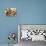 Ingredients for Stew: Pork, Vegetables, Lentils and Savoy Cabbage-Eising Studio - Food Photo and Video-Photographic Print displayed on a wall