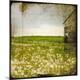 Premium Giclee Print