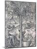 Inhabitants of Cape Verde Making Drinks from Palm Trees, Engraving from Universal Cosmology-Andre Thevet-Mounted Giclee Print