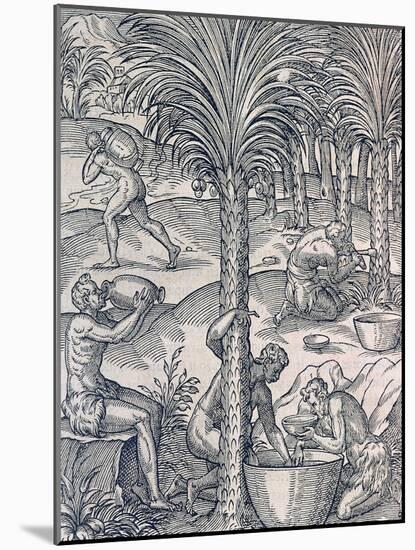 Inhabitants of Cape Verde Making Drinks from Palm Trees, Engraving from Universal Cosmology-Andre Thevet-Mounted Giclee Print