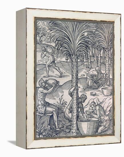 Inhabitants of Cape Verde Making Drinks from Palm Trees, Engraving from Universal Cosmology-Andre Thevet-Framed Premier Image Canvas