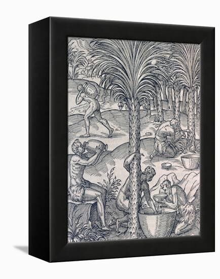 Inhabitants of Cape Verde Making Drinks from Palm Trees, Engraving from Universal Cosmology-Andre Thevet-Framed Premier Image Canvas