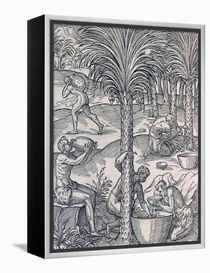 Inhabitants of Cape Verde Making Drinks from Palm Trees, Engraving from Universal Cosmology-Andre Thevet-Framed Premier Image Canvas