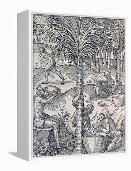 Inhabitants of Cape Verde Making Drinks from Palm Trees, Engraving from Universal Cosmology-Andre Thevet-Framed Premier Image Canvas