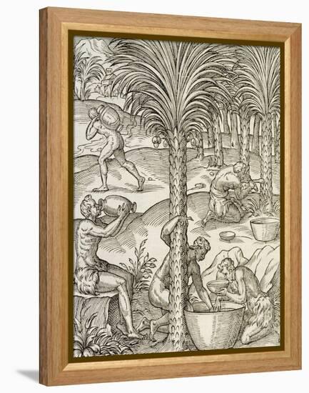 Inhabitants of Cape Verde Making Drinks from Palm Trees, Engraving from Universal Cosmology-Andre Thevet-Framed Premier Image Canvas