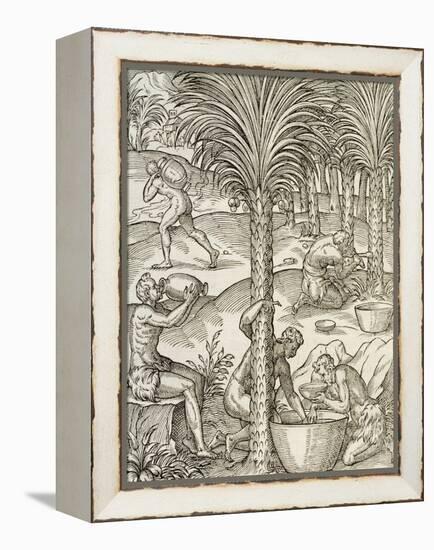 Inhabitants of Cape Verde Making Drinks from Palm Trees, Engraving from Universal Cosmology-Andre Thevet-Framed Premier Image Canvas