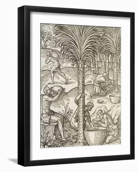 Inhabitants of Cape Verde Making Drinks from Palm Trees, Engraving from Universal Cosmology-Andre Thevet-Framed Giclee Print