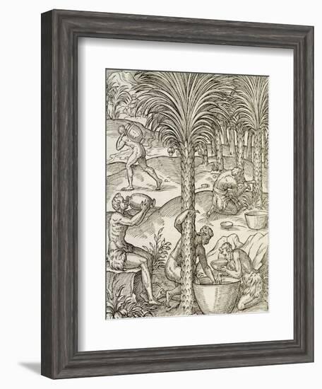 Inhabitants of Cape Verde Making Drinks from Palm Trees, Engraving from Universal Cosmology-Andre Thevet-Framed Giclee Print