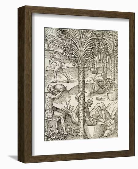 Inhabitants of Cape Verde Making Drinks from Palm Trees, Engraving from Universal Cosmology-Andre Thevet-Framed Giclee Print