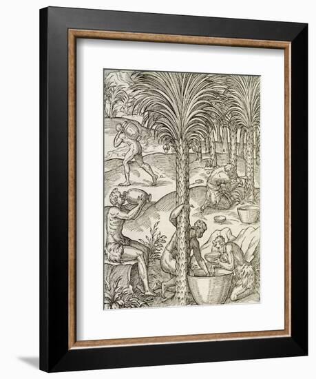 Inhabitants of Cape Verde Making Drinks from Palm Trees, Engraving from Universal Cosmology-Andre Thevet-Framed Giclee Print