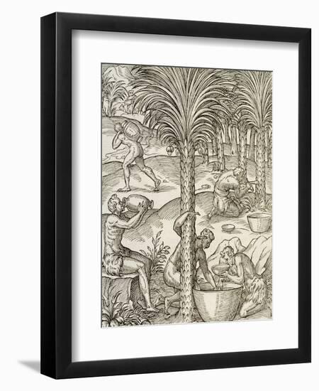 Inhabitants of Cape Verde Making Drinks from Palm Trees, Engraving from Universal Cosmology-Andre Thevet-Framed Giclee Print