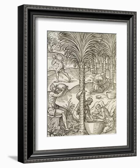 Inhabitants of Cape Verde Making Drinks from Palm Trees, Engraving from Universal Cosmology-Andre Thevet-Framed Giclee Print