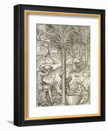 Inhabitants of Cape Verde Making Drinks from Palm Trees, Engraving from Universal Cosmology-Andre Thevet-Framed Giclee Print