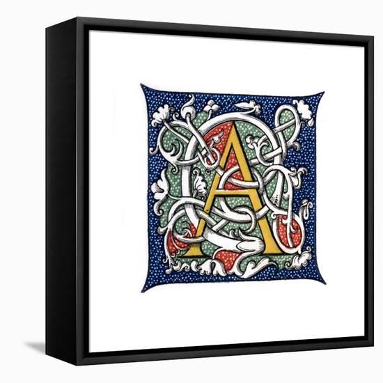 Initial Letter A-Henry Shaw-Framed Premier Image Canvas