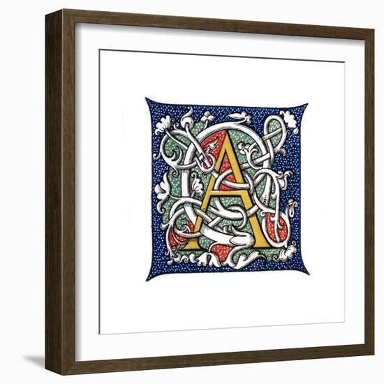 Initial Letter A-Henry Shaw-Framed Giclee Print