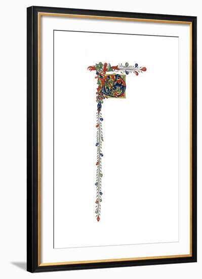 Initial Letter D, C1445-Henry Shaw-Framed Premium Giclee Print