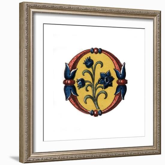 Initial Letter O, Late 15th Century-Henry Shaw-Framed Giclee Print