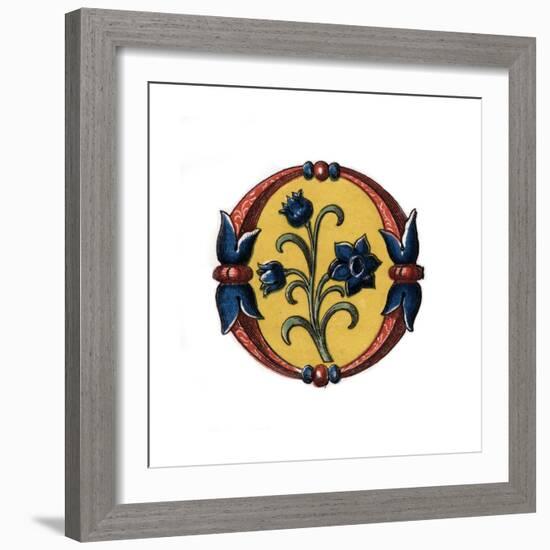 Initial Letter O, Late 15th Century-Henry Shaw-Framed Giclee Print