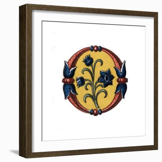 Initial Letter O, Late 15th Century-Henry Shaw-Framed Giclee Print