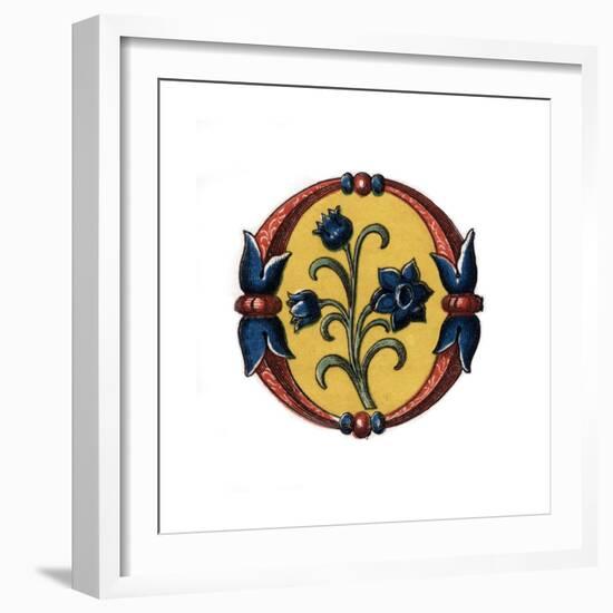 Initial Letter O, Late 15th Century-Henry Shaw-Framed Giclee Print