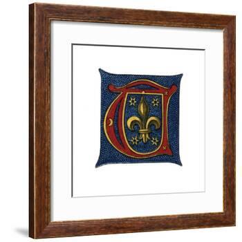 Initial Letter T, C16th Century?-Henry Shaw-Framed Giclee Print