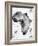 Ink Africa Map-anna42f-Framed Art Print