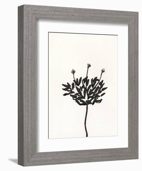 Ink Botanical Sketch III-J. Holland-Framed Art Print