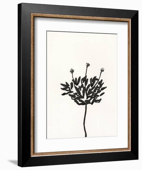 Ink Botanical Sketch III-J. Holland-Framed Art Print