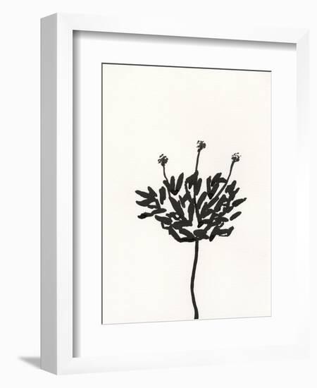 Ink Botanical Sketch III-J. Holland-Framed Art Print