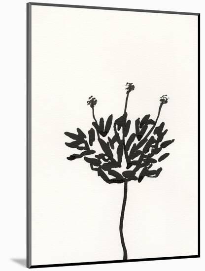 Ink Botanical Sketch III-J. Holland-Mounted Art Print