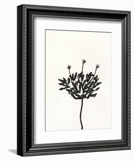 Ink Botanical Sketch III-J. Holland-Framed Art Print