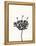 Ink Botanical Sketch III-J. Holland-Framed Stretched Canvas