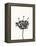 Ink Botanical Sketch III-J. Holland-Framed Stretched Canvas