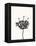 Ink Botanical Sketch III-J. Holland-Framed Stretched Canvas