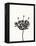 Ink Botanical Sketch III-J. Holland-Framed Stretched Canvas