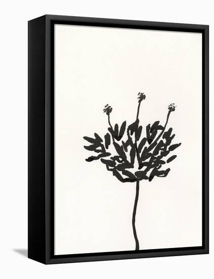 Ink Botanical Sketch III-J. Holland-Framed Stretched Canvas