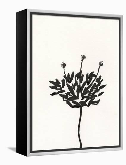 Ink Botanical Sketch III-J. Holland-Framed Stretched Canvas