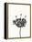 Ink Botanical Sketch III-J. Holland-Framed Stretched Canvas