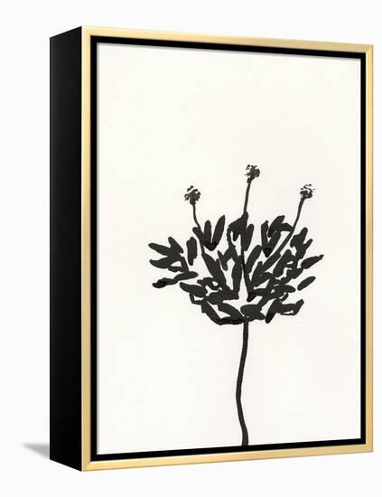 Ink Botanical Sketch III-J. Holland-Framed Stretched Canvas