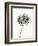 Ink Botanical Sketch V-J. Holland-Framed Art Print